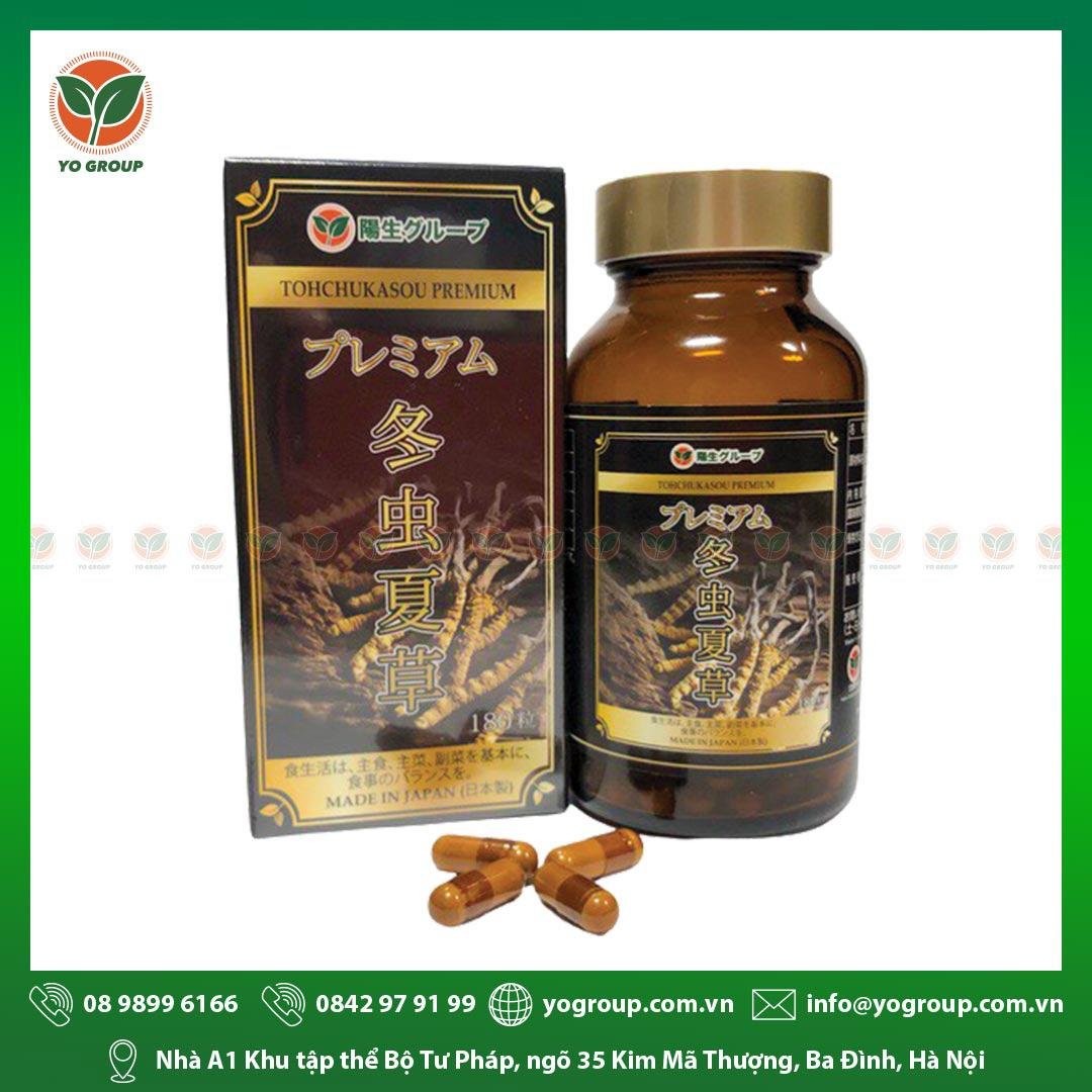 Đông Trùng Hạ Thảo Là Gì Và Tác Dụng Của Đông Trùng Hạ Thảo 17 thực phẩm chức năng đông trùng hạ thảo tohchukasou