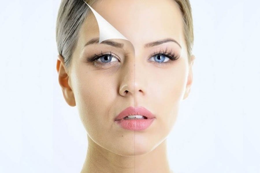 Collagen Là Gì? Top Những Thực Phẩm Bổ Sung Collagen Nhiều Nhất