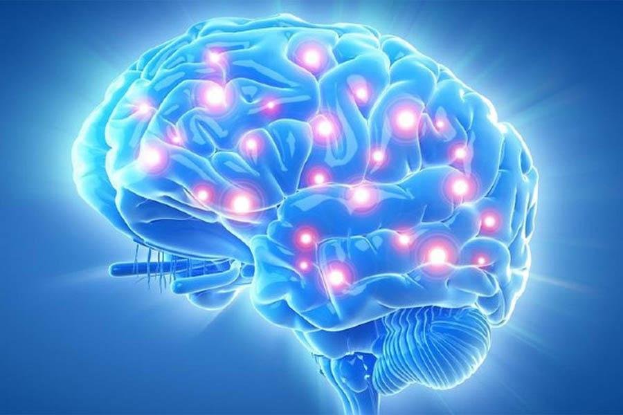 Hoạt Huyết Dưỡng Não Và Những Điều Cần Biết Kẻo Gây Hại Cho Bản Thân