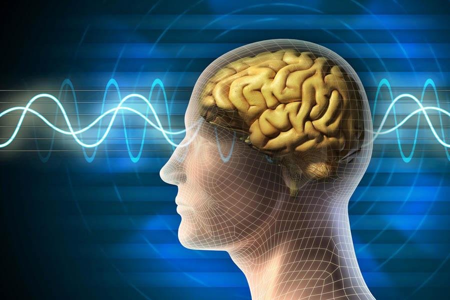 Hoạt Huyết Dưỡng Não Và Những Điều Cần Biết Kẻo Gây Hại Cho Bản Thân