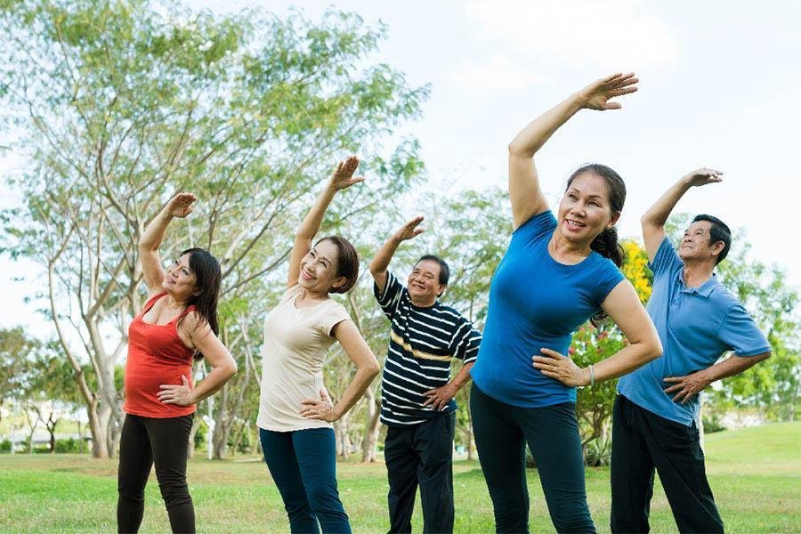 Sụn Vi Cá Mập Có Tác Dụng Gì ? 3 Sụn vi cá mập có tác dụng gì?