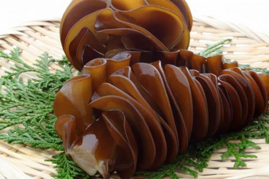 Thuốc Fucoidan Là Gì? Công Dụng Fucoidan Đem Lại 7 Thuốc Fucoidan Là Gì? Công Dụng Fucoidan Đem Lại