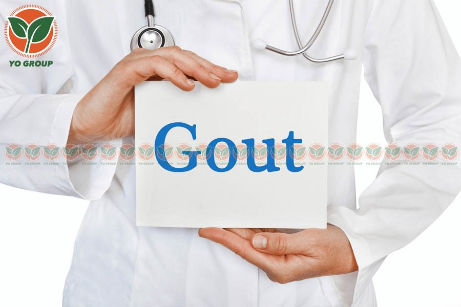 Bật Mí 9 Cách Phòng Ngừa Bệnh Gout Được Chuyên Gia Khuyên Dùng 14 Bật Mí 9 Cách Phòng Ngừa Bệnh Gout Được Chuyên Gia Khuyên Dùng