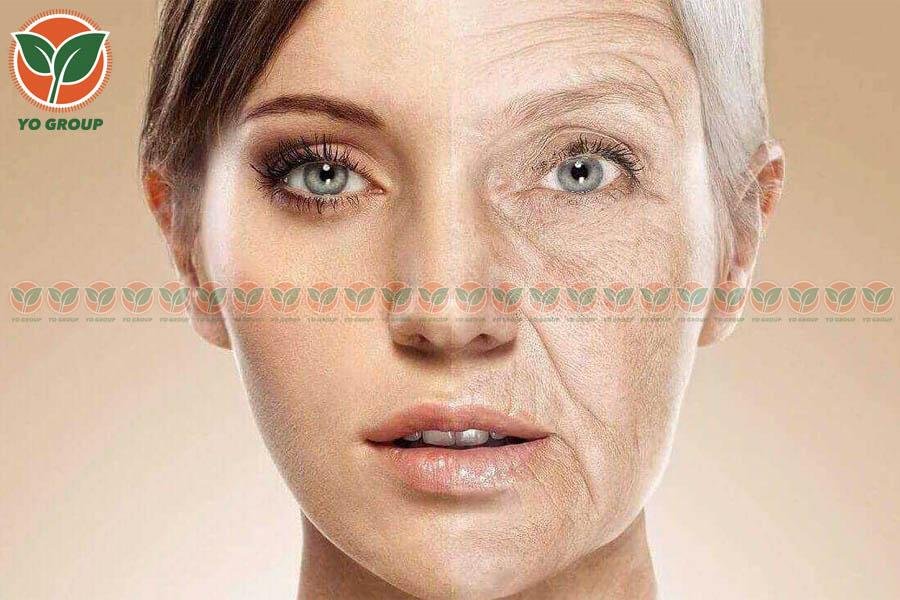 Bật Mí 6 Cách Bổ Sung Collagen Đơn Giản Mà Siêu Hiệu Quả 3 Bật Mí 6 Cách Bổ Sung Collagen Đơn Giản Mà Siêu Hiệu Quả