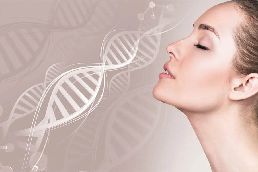 Nên Chọn Collagen Loại Nào Tốt Cho Da? 3 Loại Collagen Thường Gặp 8 Nên Chọn Collagen Loại Nào Tốt Cho Da? 3 Loại Collagen Thường Gặp