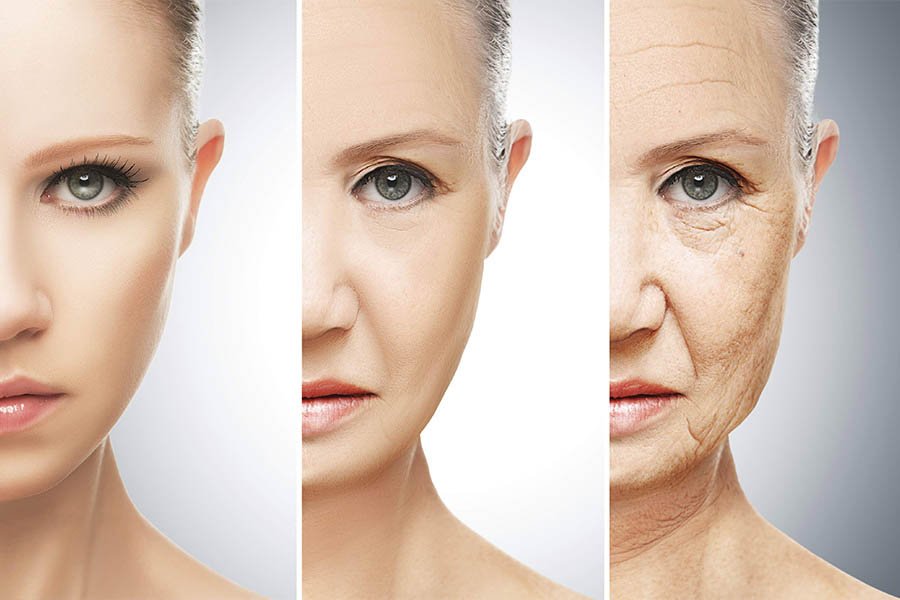 Top 21 Thực Phẩm Bổ Sung Collagen Mà Bạn Nên Biết 3 Top 21 Thực Phẩm Bổ Sung Collagen Mà Bạn Nên Biết