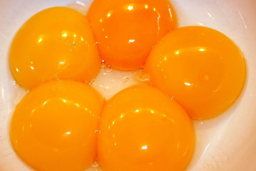 10 Thực Phẩm Giàu DHA Nhất Mà Mẹ Bầu Không Nên Bỏ Qua