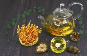 Cách Pha Trà Đông Trùng Hạ Thảo Khô Đơn Giản Dễ Làm 2 Cách Pha Trà Đông Trùng Hạ Thảo Khô Đơn Giản Dễ Làm