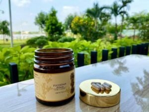 Fucoidan Vàng Và Những Lưu Ý Để Sử Dụng Hiệu Quả Nhất 2 Fucoidan Vàng Và Những Lưu Ý Để Sử Dụng Hiệu Quả Nhất