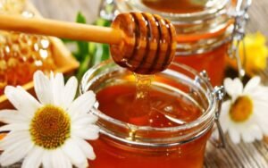 Cách Làm Đông Trùng Hạ Thảo Ngâm Mật Ong Siêu Dễ Ai Cũng Có Thể Làm Được