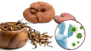 Sự Kết Hợp Tuyệt Vời Giữa Đông Trùng Hạ Thảo Và Linh Chi
