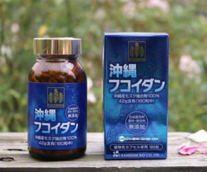 Fucoidan Xanh - Vàng - Đỏ Là Gì? Công Dụng Của Từng Loại Ra Sao? 2 Fucoidan Xanh - Vàng - Đỏ Là Gì? Công Dụng Của Từng Loại Ra Sao?