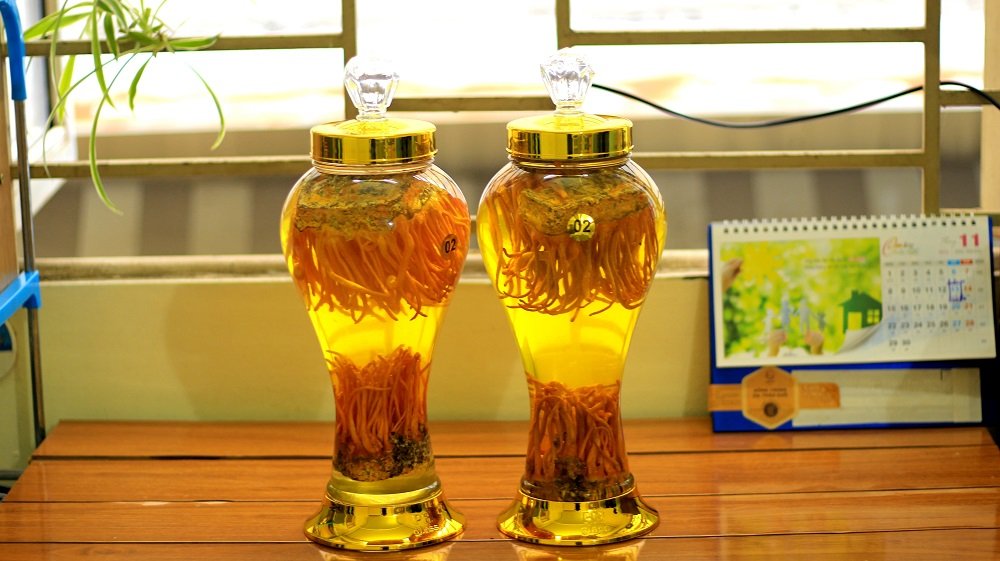 rượu đông trùng hạ thảo