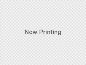 now printing 13